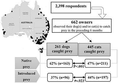 Do Pet Cats Deserve the Disproportionate Blame for Wildlife Predation Compared to Pet Dogs?